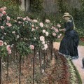 Roses dans le jardin au Petit-Gennevilliers, Gustave Caillebotte
